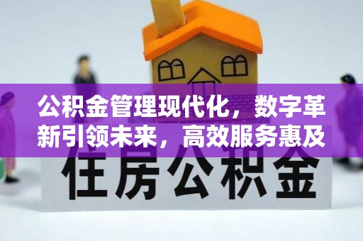 惠水公积金管理现代化，数字革新引领未来，高效服务惠及民生