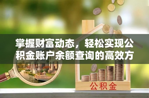 惠水掌握财富动态，轻松实现公积金账户余额查询的高效方法