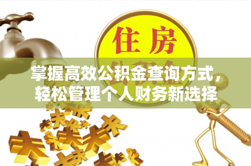 惠水掌握高效公积金查询方式，轻松管理个人财务新选择