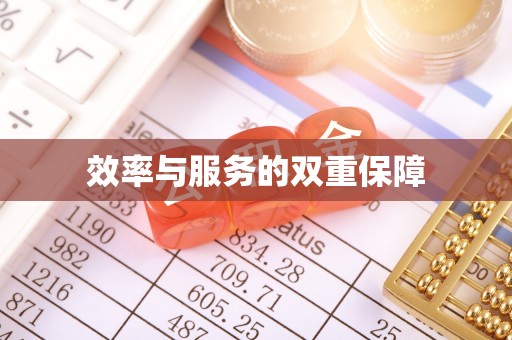 惠水效率与服务的双重保障
