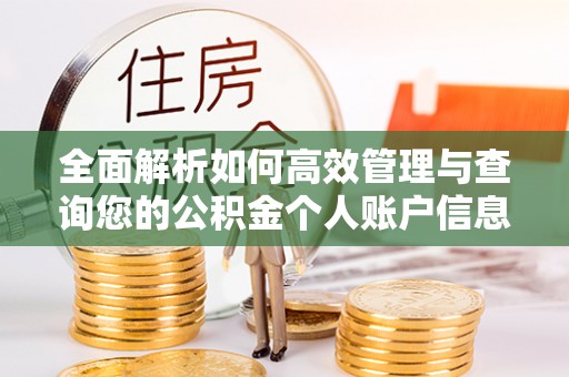 惠水全面解析如何高效管理与查询您的公积金个人账户信息