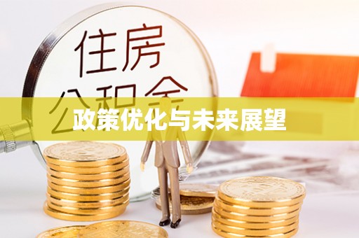 惠水政策优化与未来展望