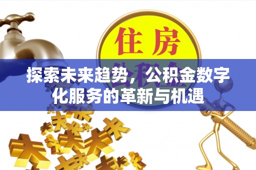 惠水探索未来趋势，公积金数字化服务的革新与机遇