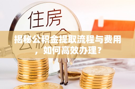 惠水揭秘公积金提取流程与费用，如何高效办理？