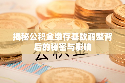 惠水揭秘公积金缴存基数调整背后的秘密与影响
