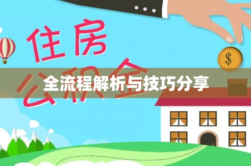 惠水全流程解析与技巧分享