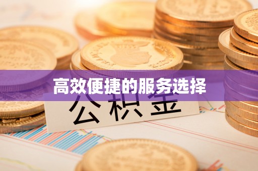 惠水高效便捷的服务选择