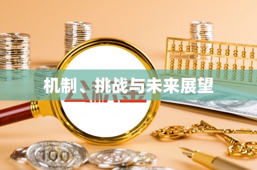 惠水机制、挑战与未来展望